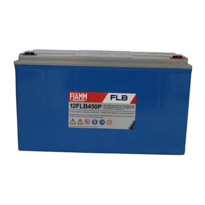 12 FLB 450 P
