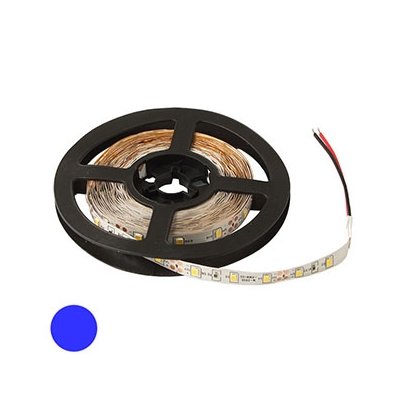 2835 300LED IP33 12V BLUE