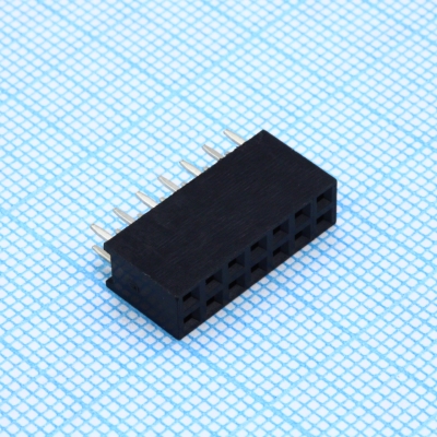 DS1023-2x7S21
