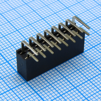 DS1024-2x8R2