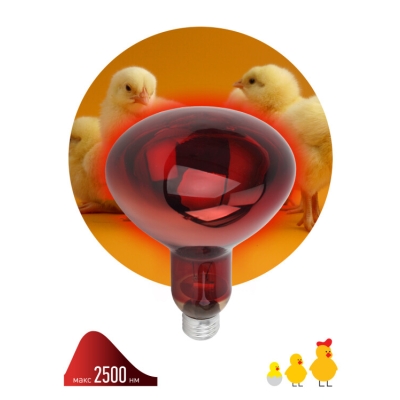 Инфракрасная лампа ЭРА ИКЗК 220-250 R127 для обогрева животных 250 Вт Е27(кр.15шт)