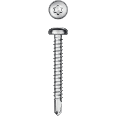 KRAFTOOL DS-P, 38 х 4.8 мм, А2, сверло, полукруглая головка, ТХ25, 200 шт, саморез нержавеющий (300931-48-038)
