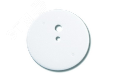 Крышка для коробки потолочной с крюком, IP40, д.87мм 59387