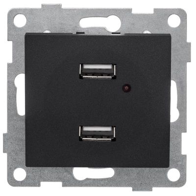 Розетка USB 2-м СП Bravo механизм графит С10USB2-010