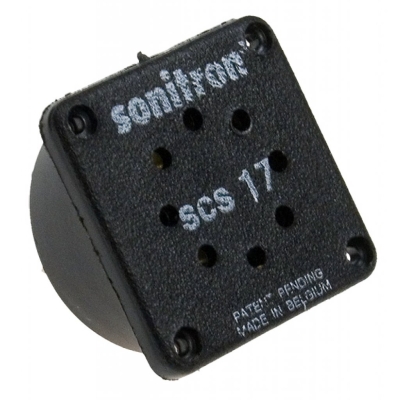 SCS-17-P10