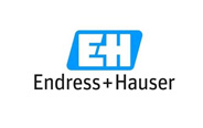 Endress + Hauser 